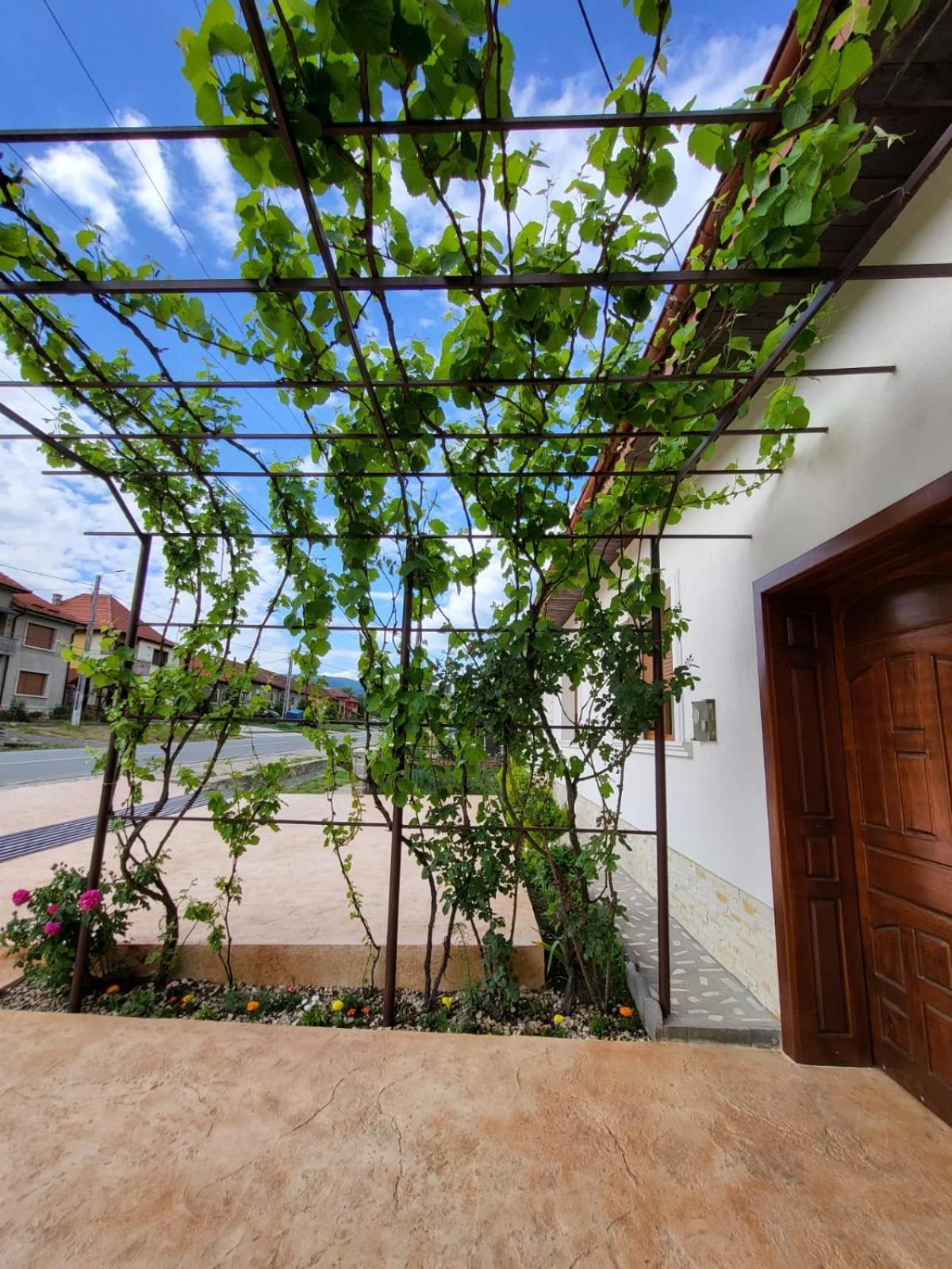 Hotel Casa Din Sat Ieşelniţa Exterior foto